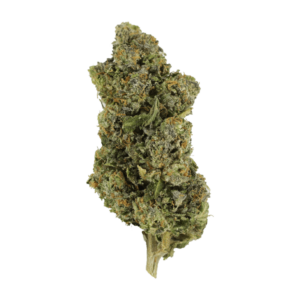 Jokerz | Herb Heaven Canada