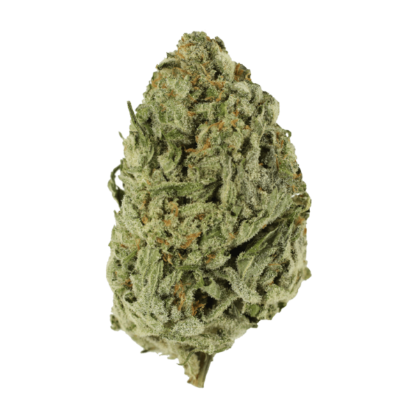 Lemon Meringue 1 Ounce | Herb Heaven Canada