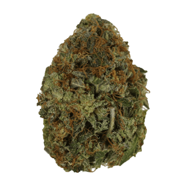 Orange Romulan | Herb Heaven Canada