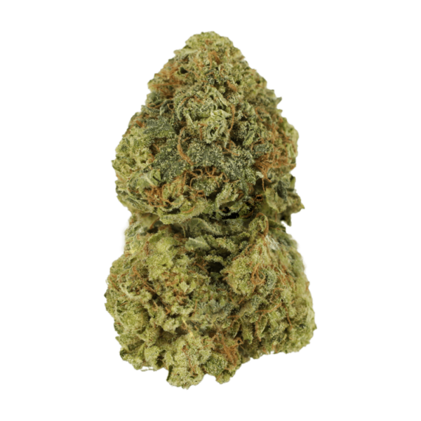 Critical Mass | Herb Heaven Canada
