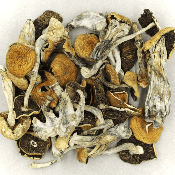 Puerto Rican | Herb Heaven Canada