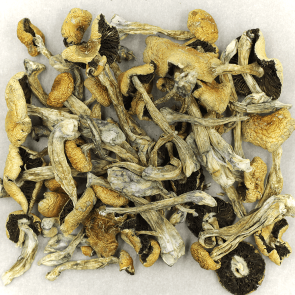 Puerto Rican | Herb Heaven Canada