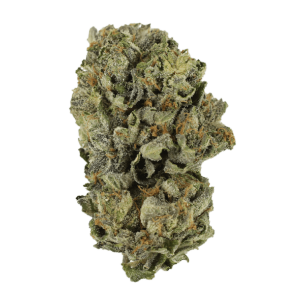 Cerebro Haze | Herb Heaven Canada