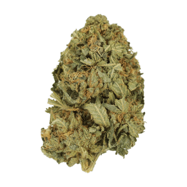 G13 | Herb Heaven Canada
