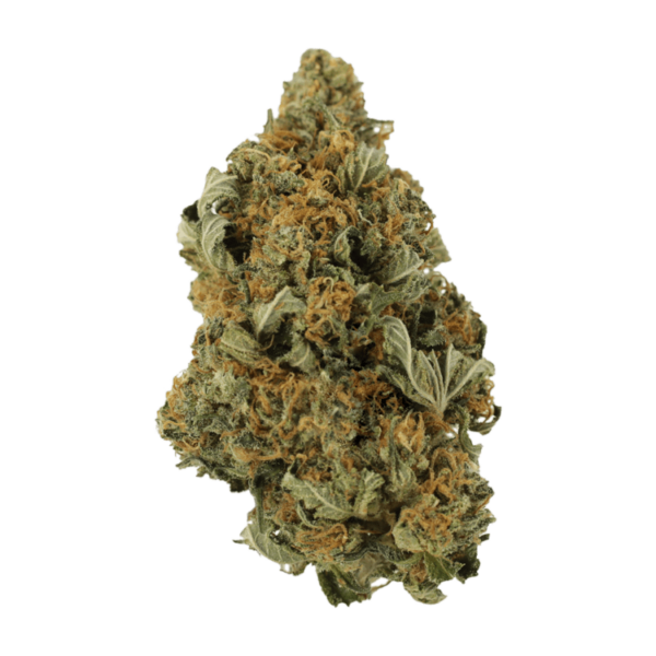 God’s Bubba | Herb Heaven Canada