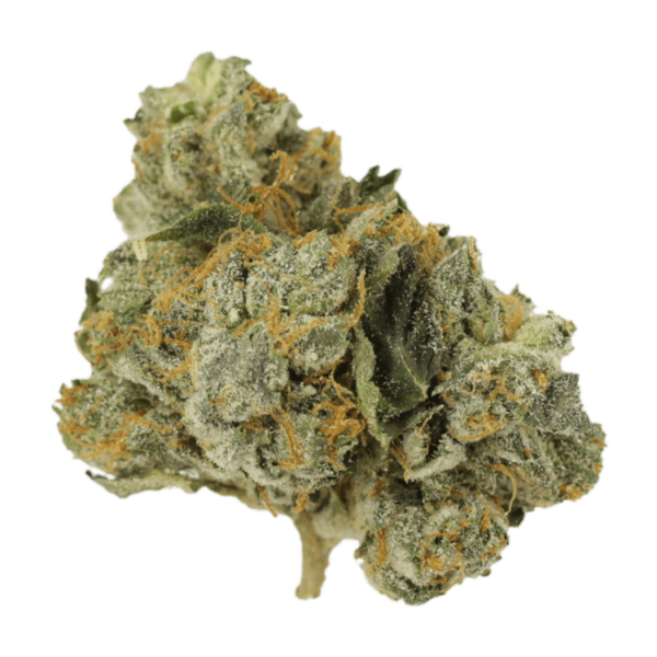 Mango Cream | Herb Heaven Canada