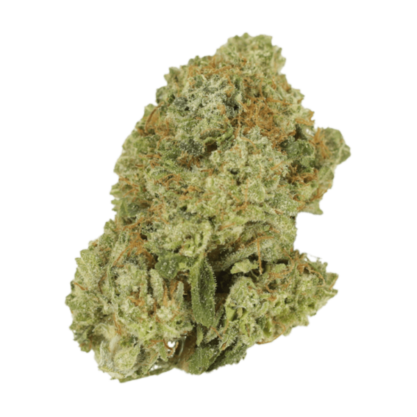 Green Lantern | Herb Heaven Canada