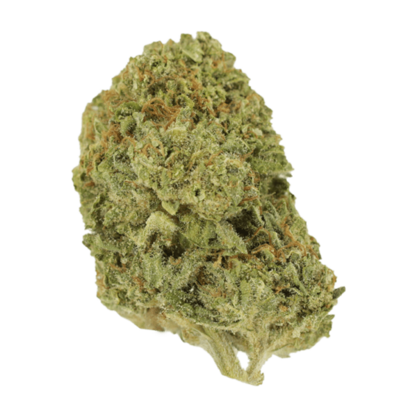 Mango Cream | Herb Heaven Canada