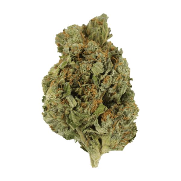 Mango Cream | Herb Heaven Canada