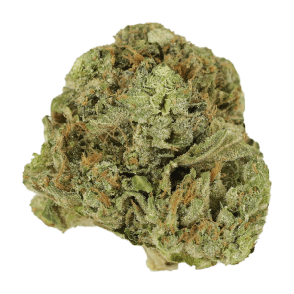 Mango Cream | Herb Heaven Canada