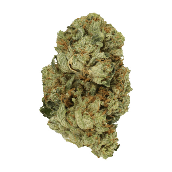 Pink Starburst | Herb Heaven Canada