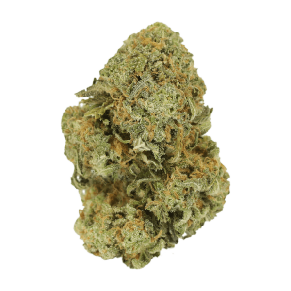 Watermelon Gelato | Herb Heaven Canada