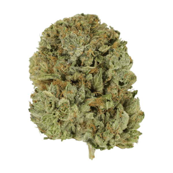 Pink Taco | Herb Heaven Canada