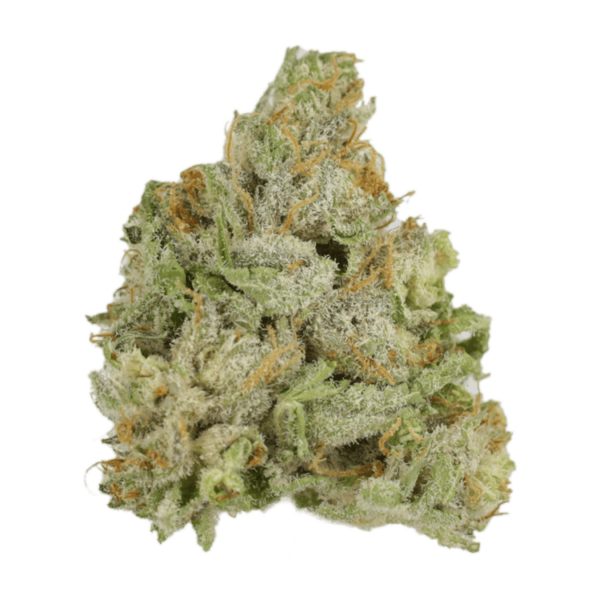 El Jefe | Herb Heaven Canada