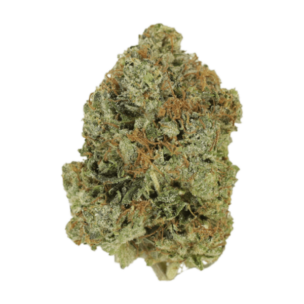Jack Herer (popcorn) | Herb Heaven Canada