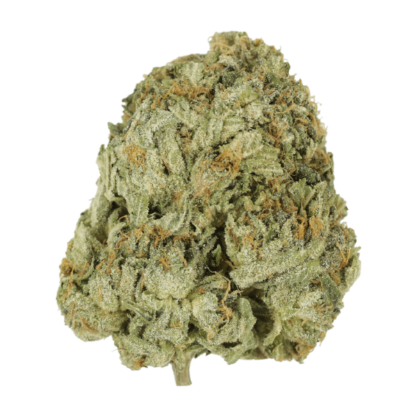 Godzilla Glue | Herb Heaven Canada