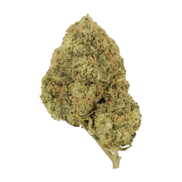 Laughing Buddha | Herb Heaven Canada