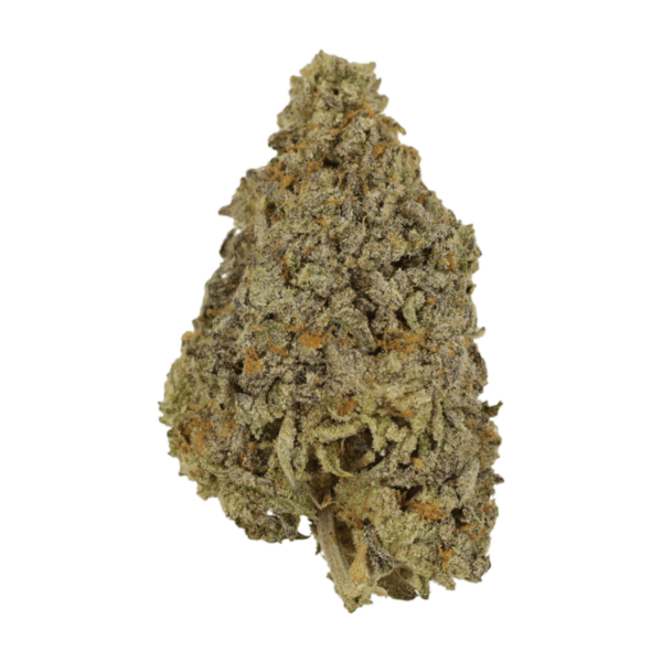 Frosty Gelato | Herb Heaven Canada