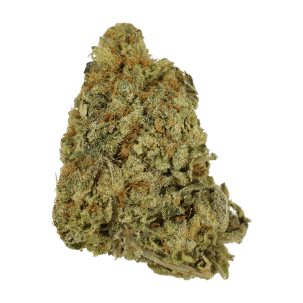 G Whiz | Herb Heaven Canada