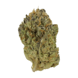 Blueberry Muffin | Herb Heaven Canada