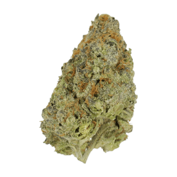 Lilac Diesel | Herb Heaven Canada