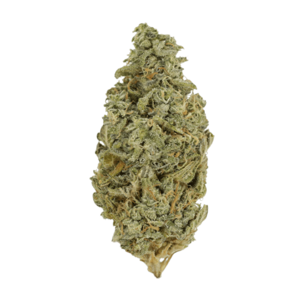 Orange Cookies | Herb Heaven Canada