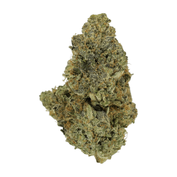 Purple Urkle | Herb Heaven Canada