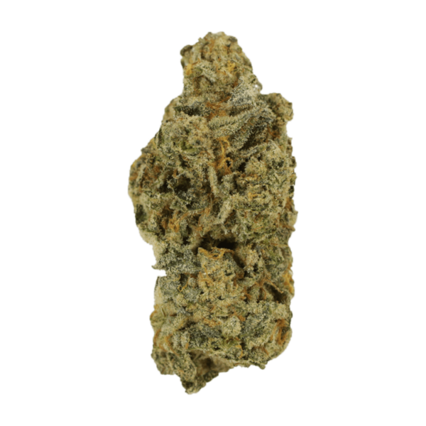 Cinderella 99 | Herb Heaven Canada