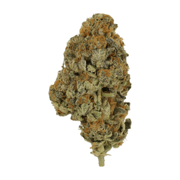 Key Lime Pie | Herb Heaven Canada