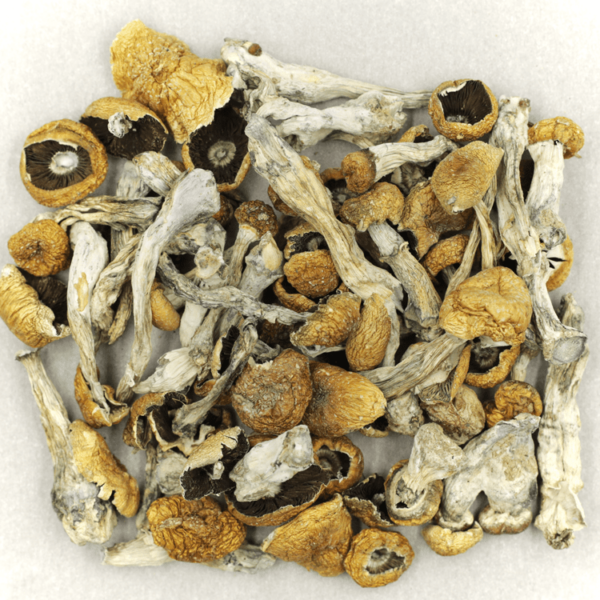 Orissa | Herb Heaven Canada