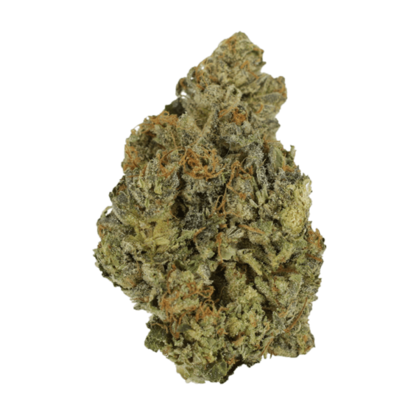 Lady Bird | Herb Heaven Canada