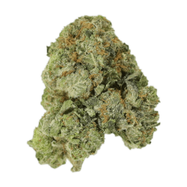 White Russian | Herb Heaven Canada