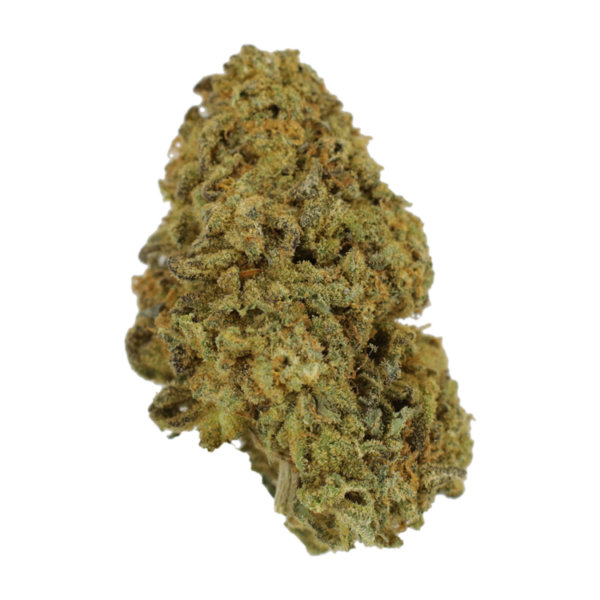 Lemon Thai | Herb Heaven Canada