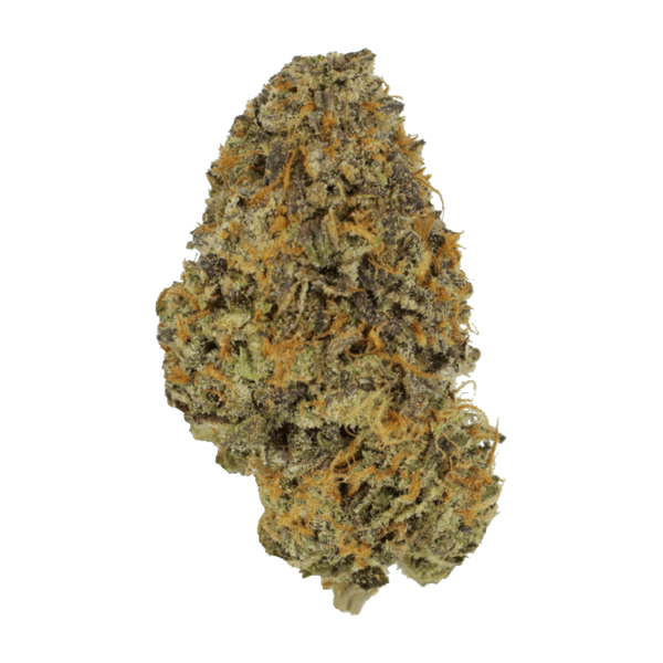 Blackberry Nightmare | Herb Heaven Canada