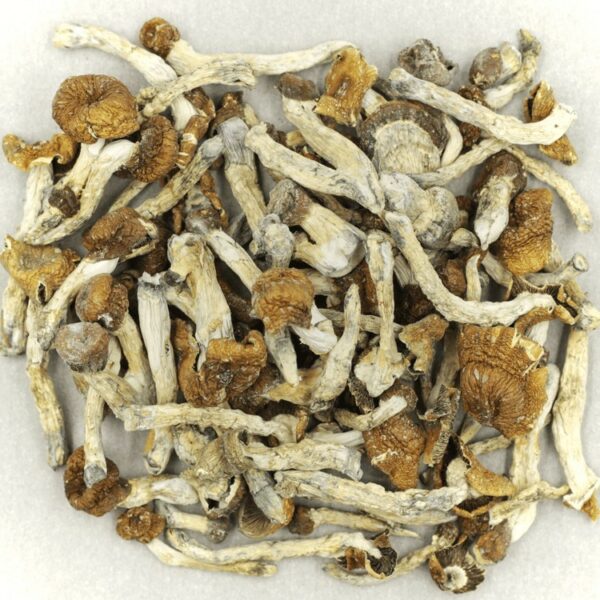 Florida White | Herb Heaven Canada