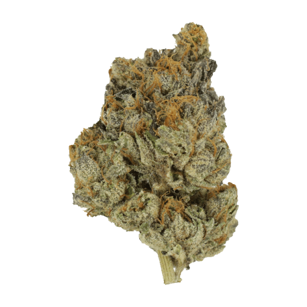 Divorce Cake | Herb Heaven Canada