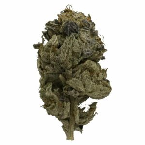 Herb Heaven Canada - Pink Gas Strain | Herb Heaven Canada