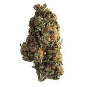 Grape Crush | Herb Heaven Canada