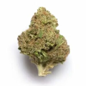 Supersonic | Herb Heaven Canada