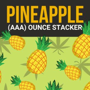 Pineapple 1 OZ Kit | Herb Heaven Canada